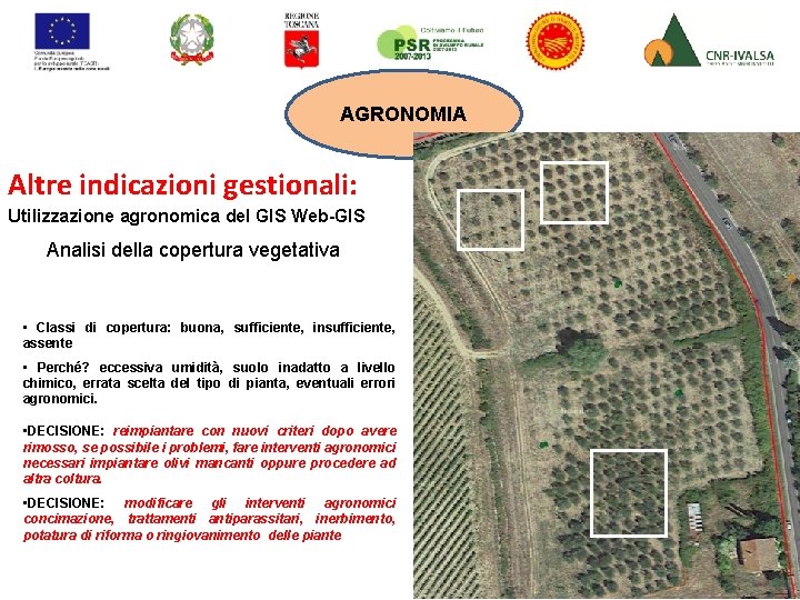 AGRONOMIA Altre indicazioni gestionali: Utilizzazione agronomica del GIS Web-GIS Analisi della copertura vegetativa •