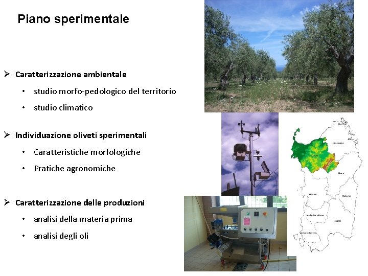 Piano sperimentale Ø Caratterizzazione ambientale • studio morfo-pedologico del territorio • studio climatico Ø