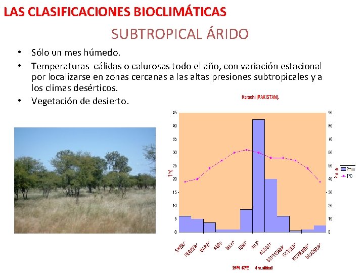 LAS CLASIFICACIONES BIOCLIMÁTICAS SUBTROPICAL ÁRIDO • Sólo un mes húmedo. • Temperaturas cálidas o