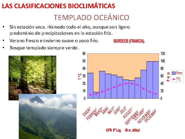 LAS CLASIFICACIONES BIOCLIMÁTICAS TEMPLADO OCEÁNICO • Sin estación seca. Húmedo todo el año, aunque