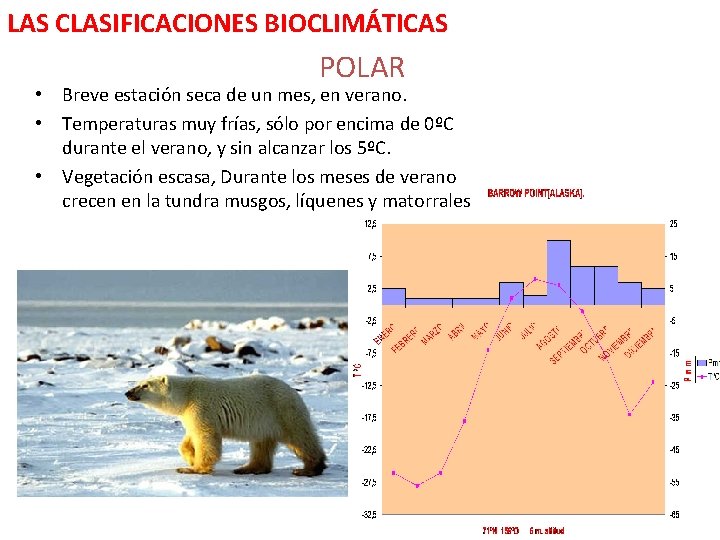 LAS CLASIFICACIONES BIOCLIMÁTICAS POLAR • Breve estación seca de un mes, en verano. •