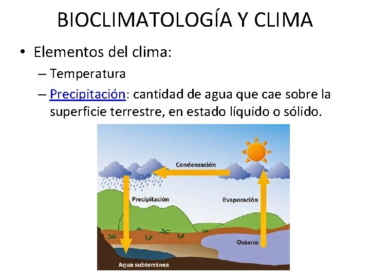 BIOCLIMATOLOGÍA Y CLIMA • Elementos del clima: – Temperatura – Precipitación: cantidad de agua