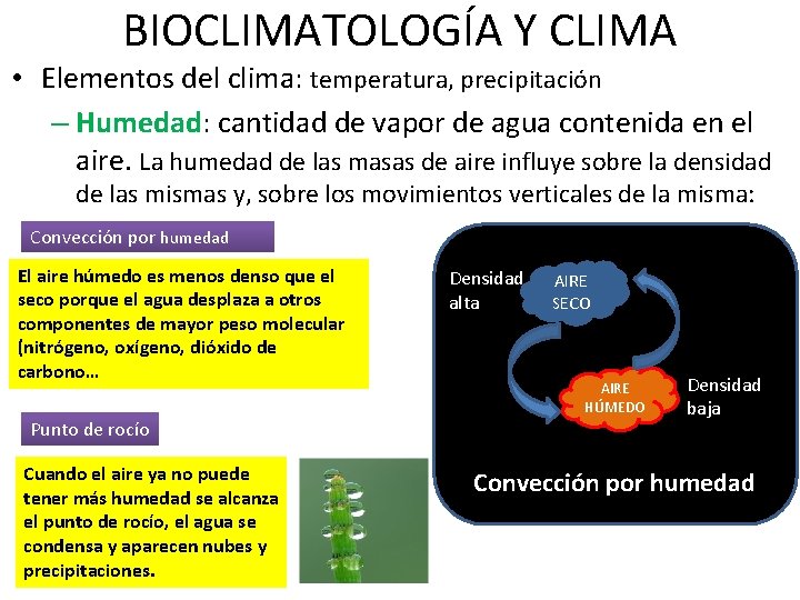 BIOCLIMATOLOGÍA Y CLIMA • Elementos del clima: temperatura, precipitación – Humedad: cantidad de vapor