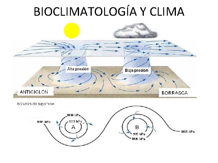 BIOCLIMATOLOGÍA Y CLIMA 