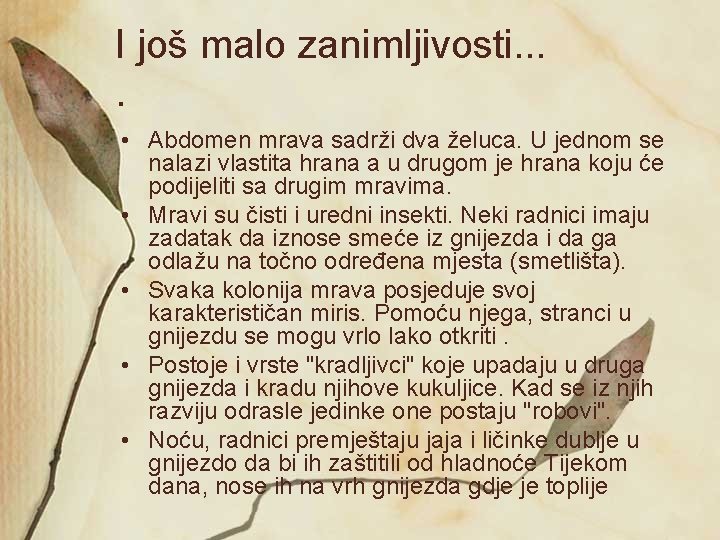 I još malo zanimljivosti. . • Abdomen mrava sadrži dva želuca. U jednom se