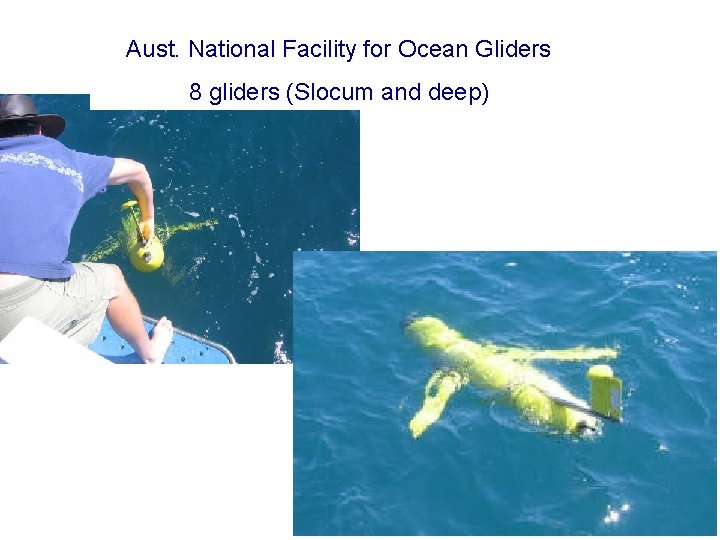 Aust. National Facility for Ocean Gliders 8 gliders (Slocum and deep) 