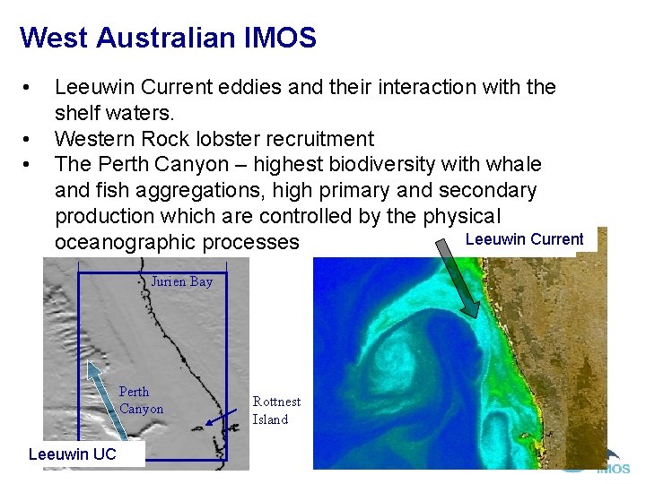 West Australian IMOS • • • Leeuwin Current eddies and their interaction with the