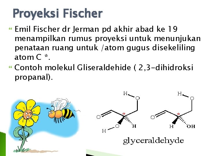 Proyeksi Fischer Emil Fischer dr Jerman pd akhir abad ke 19 menampilkan rumus proyeksi