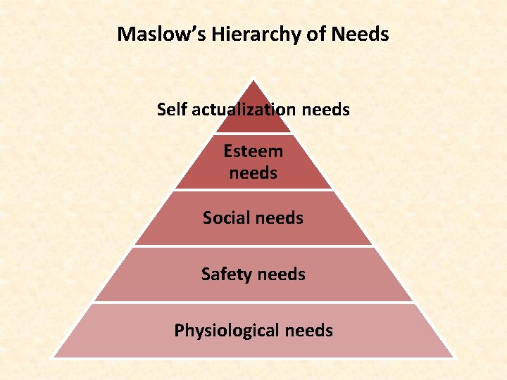 Maslow’s Hierarchy of Needs Self actualization needs Esteem needs Social needs Safety needs Physiological