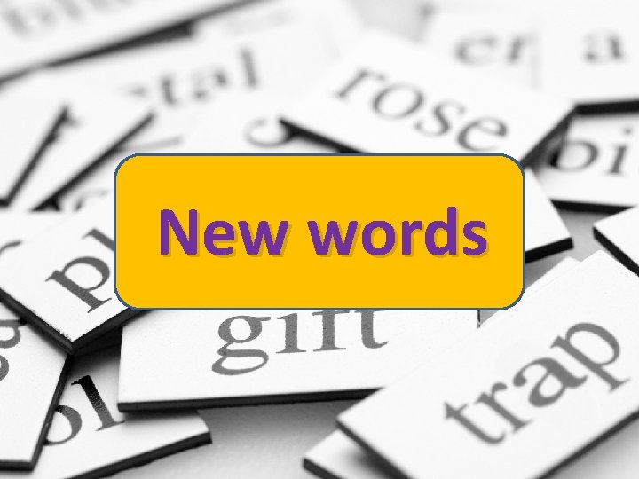 New words 