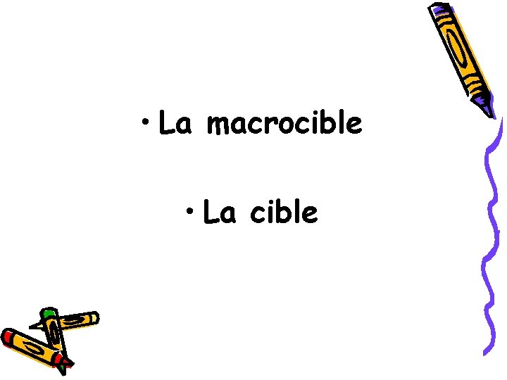  • La macrocible • La cible 