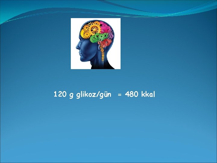 120 g glikoz/gün = 480 kkal 