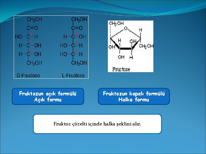 Fruktozun açık formülü Açık formu Fruktozun kapalı formülü Halka formu Fruktoz çözelti içinde halka