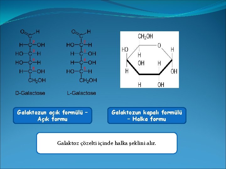 Galaktozun açık formülü – Açık formu Galaktozun kapalı formülü – Halka formu Galaktoz çözelti