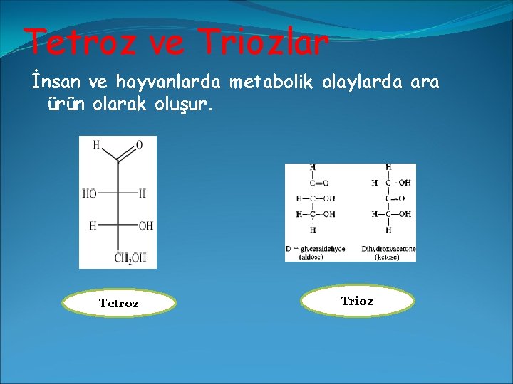 Tetroz ve Triozlar İnsan ve hayvanlarda metabolik olaylarda ara ürün olarak oluşur. Tetroz Trioz