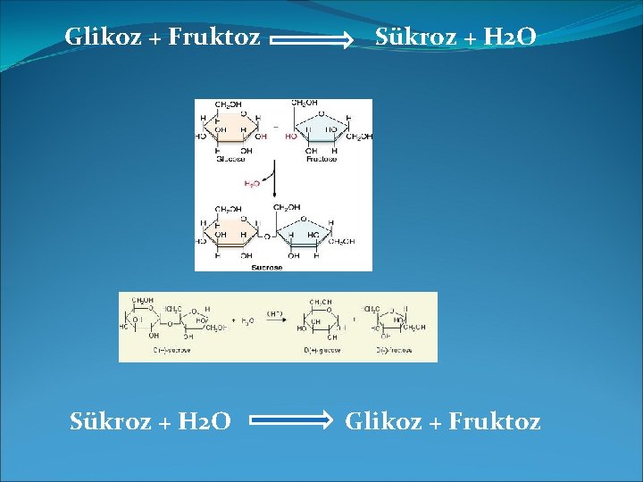 Glikoz + Fruktoz Sükroz + H 2 O Glikoz + Fruktoz 