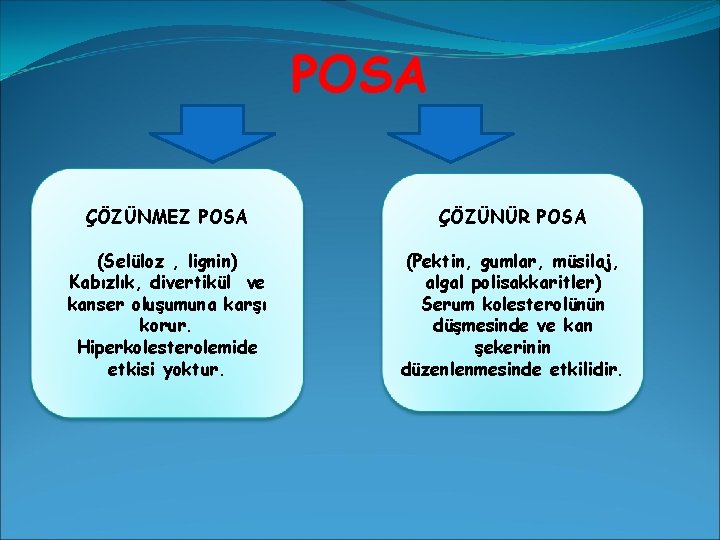 POSA ÇÖZÜNMEZ POSA ÇÖZÜNÜR POSA (Selüloz , lignin) Kabızlık, divertikül ve kanser oluşumuna karşı