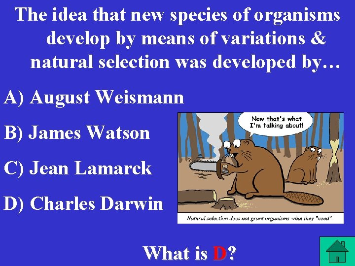 The idea that new species of organisms develop by means of variations & natural