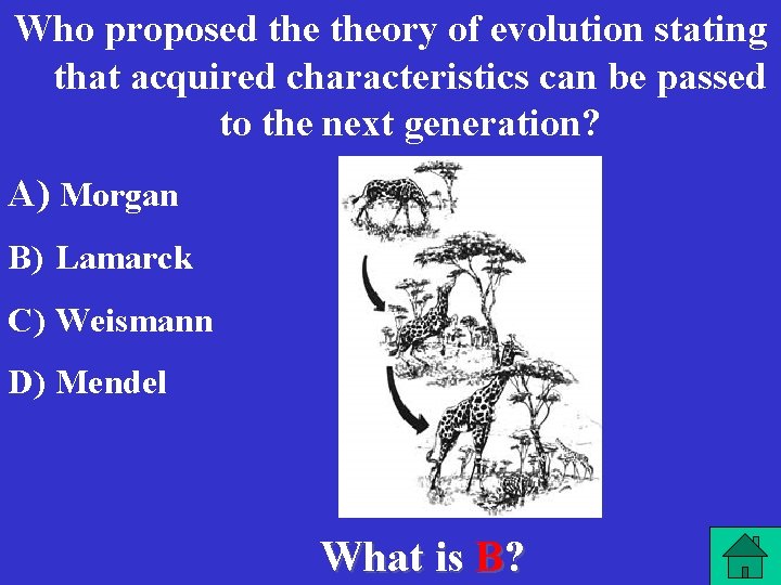 Who proposed theory of evolution stating that acquired characteristics can be passed to the