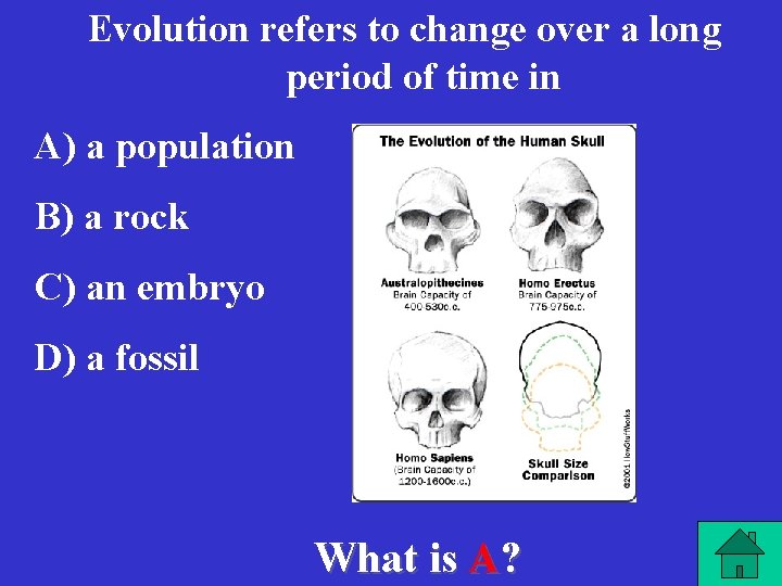 Evolution refers to change over a long period of time in A) a population