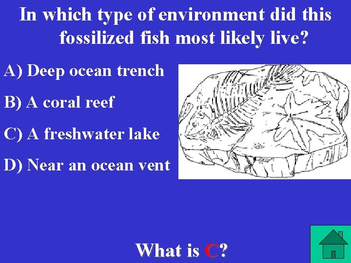 In which type of environment did this fossilized fish most likely live? A) Deep