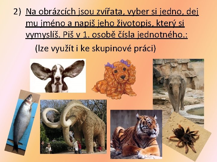 2) Na obrázcích jsou zvířata, vyber si jedno, dej mu jméno a napiš jeho