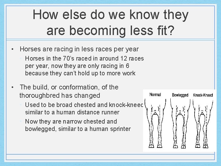 How else do we know they are becoming less fit? • Horses are racing