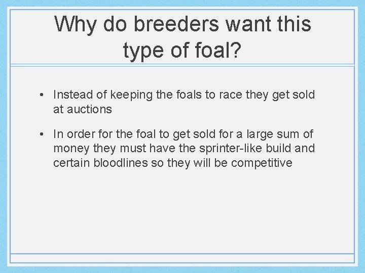 Why do breeders want this type of foal? • Instead of keeping the foals