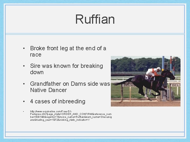 Ruffian • Broke front leg at the end of a race • Sire was