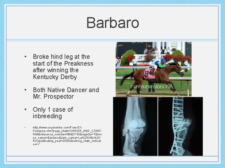 Barbaro • Broke hind leg at the start of the Preakness after winning the