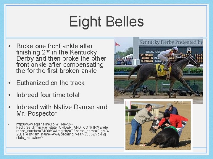 Eight Belles • Broke one front ankle after finishing 2 nd in the Kentucky