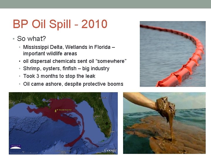 BP Oil Spill - 2010 • So what? • Mississippi Delta, Wetlands in Florida