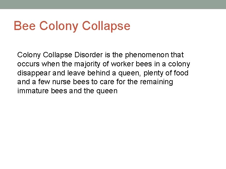 Bee Colony Collapse Disorder is the phenomenon that occurs when the majority of worker