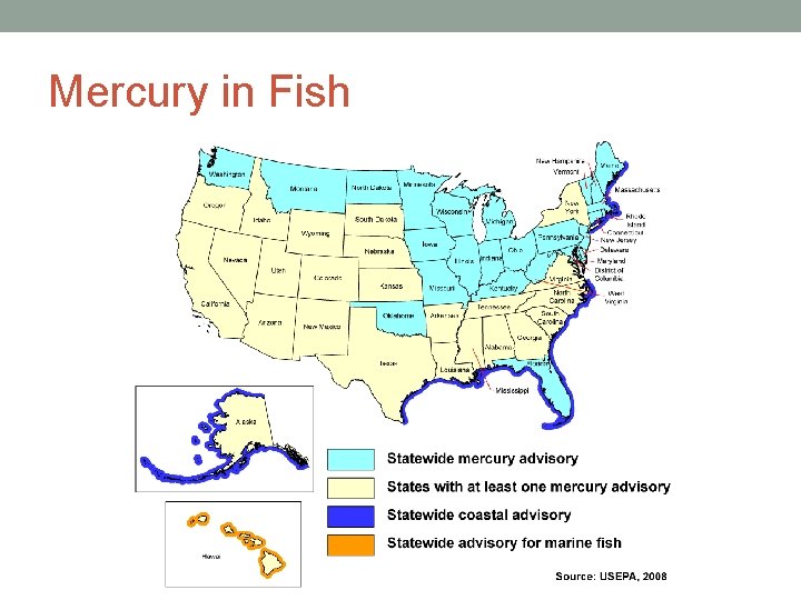 Mercury in Fish 