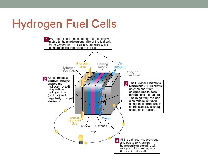 Hydrogen Fuel Cells 
