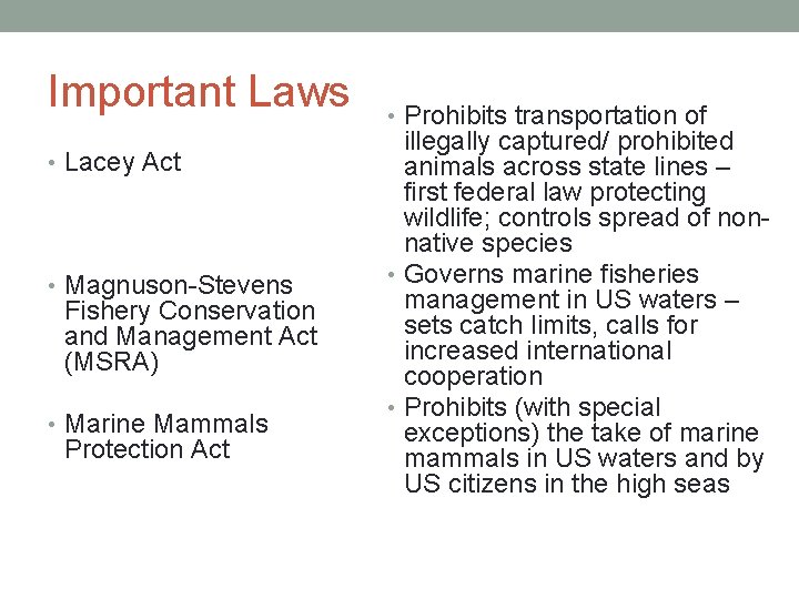 Important Laws • Lacey Act • Magnuson-Stevens Fishery Conservation and Management Act (MSRA) •
