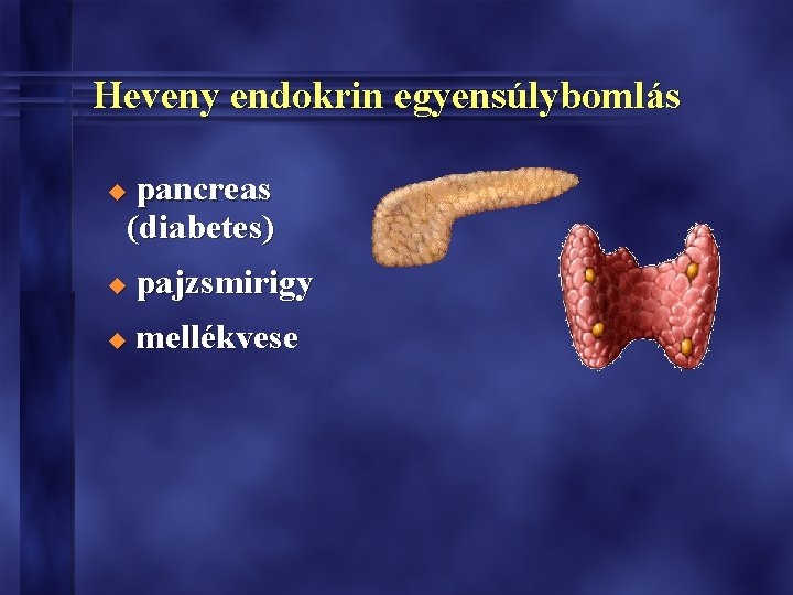 Heveny endokrin egyensúlybomlás pancreas (diabetes) u u pajzsmirigy u mellékvese 