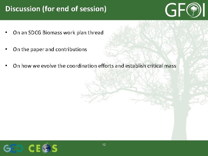 Discussion (for end of session) • On an SDCG Biomass work plan thread •