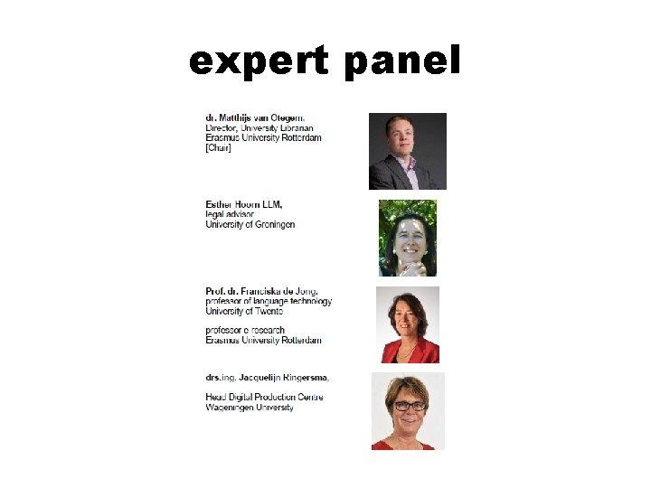 expert panel 