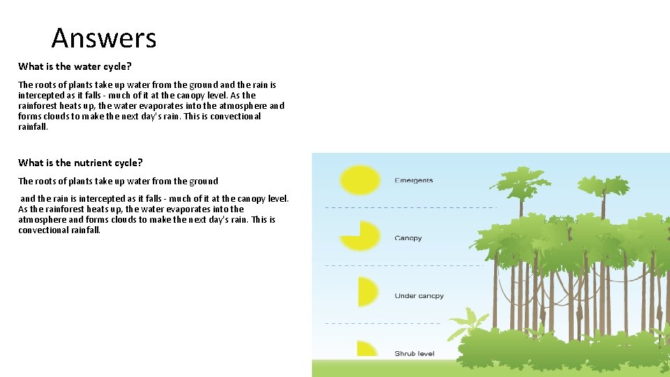 Answers What is the water cycle? The roots of plants take up water from