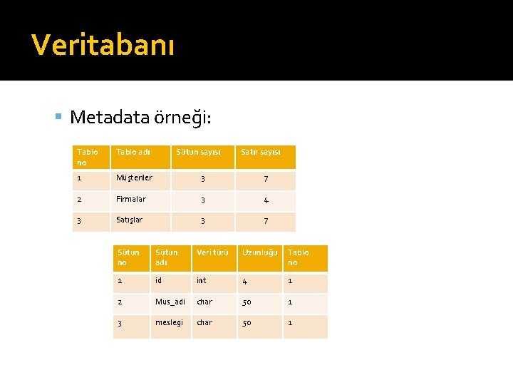 Veritabanı Metadata örneği: Tablo no Tablo adı Sütun sayısı Satır sayısı 1 Müşteriler 3