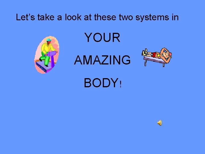 Let’s take a look at these two systems in YOUR AMAZING BODY! 