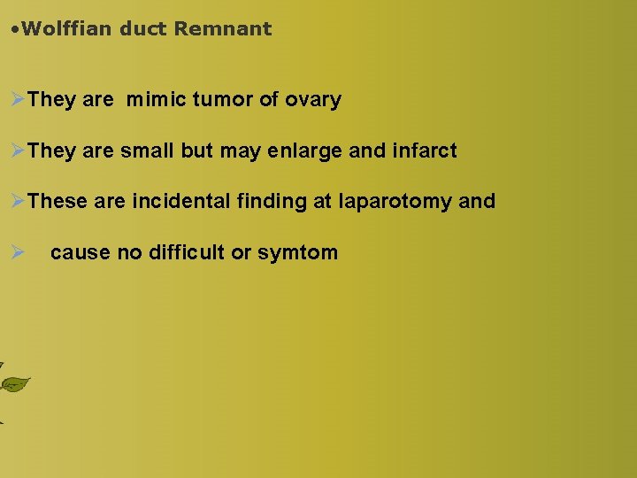  • Wolffian duct Remnant ØThey are mimic tumor of ovary ØThey are small