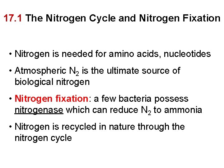 17. 1 The Nitrogen Cycle and Nitrogen Fixation • Nitrogen is needed for amino