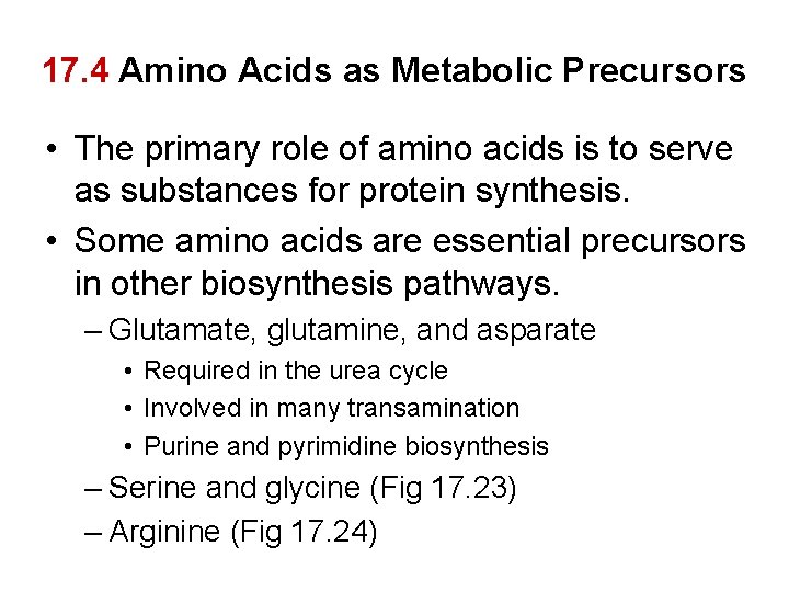 17. 4 Amino Acids as Metabolic Precursors • The primary role of amino acids