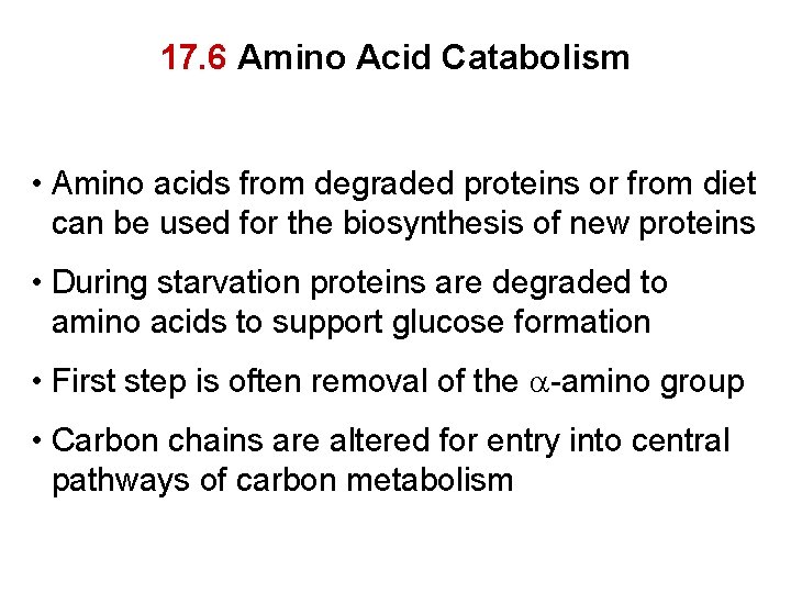 17. 6 Amino Acid Catabolism • Amino acids from degraded proteins or from diet