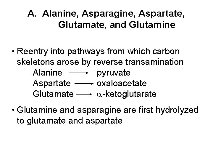 A. Alanine, Asparagine, Aspartate, Glutamate, and Glutamine • Reentry into pathways from which carbon