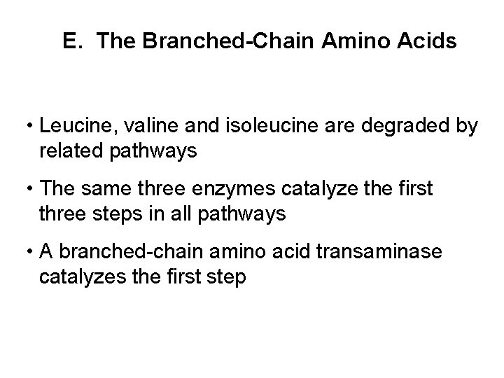 E. The Branched-Chain Amino Acids • Leucine, valine and isoleucine are degraded by related