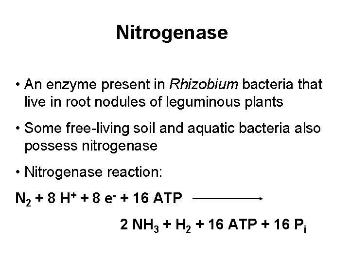 Nitrogenase • An enzyme present in Rhizobium bacteria that live in root nodules of