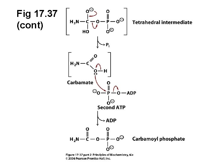 Fig 17. 37 (cont) 